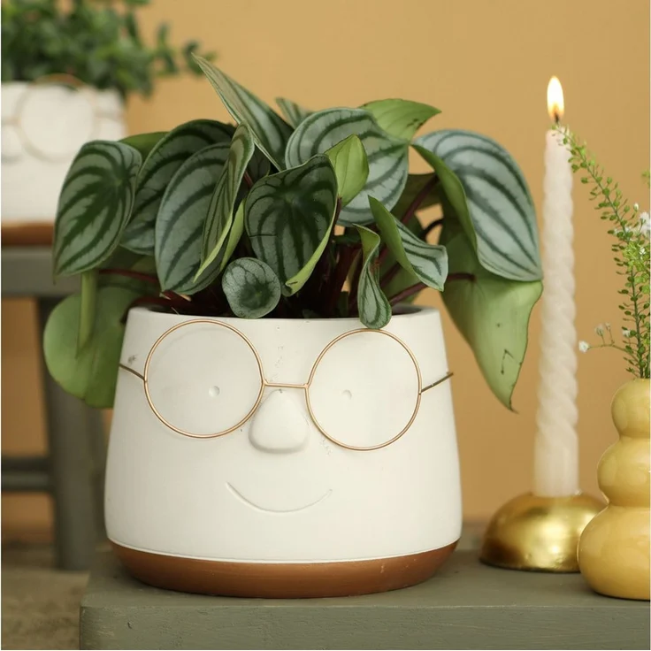 Annastore Übertopf Blumenübertöpfe in witzigem Design (Übertöpfe für Zimmerpflanzen), Blumentöpfe - Übertöpfe aus Keramik - Lustige Blumentöpfe – Bild 2
