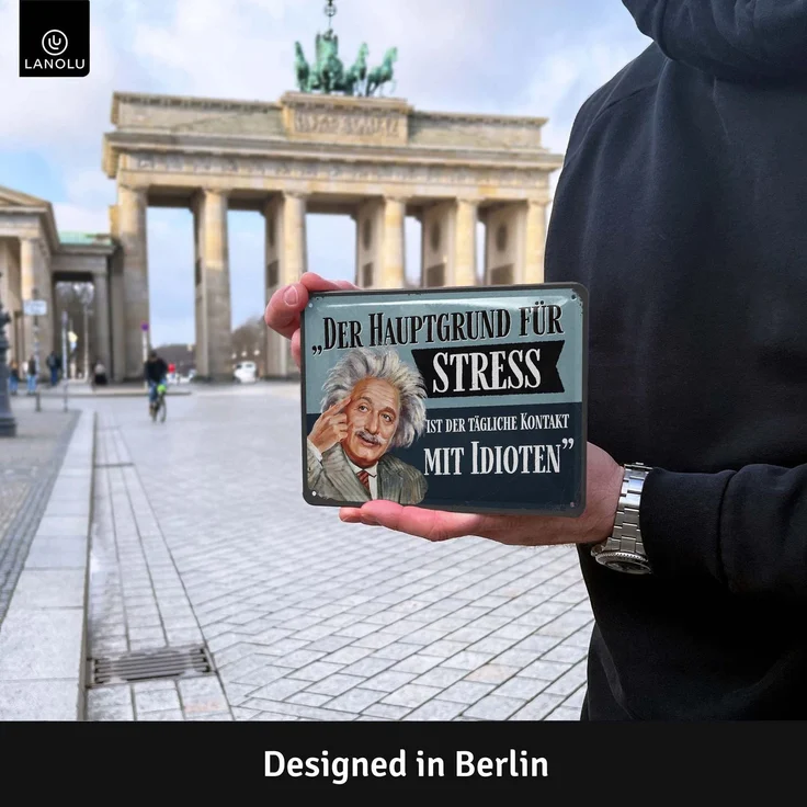 LANOLU Blechschild Einstein Hauptgrund für Stress - 15x20cm – Metall – Mehrfarbig – 15204 – Bild 2