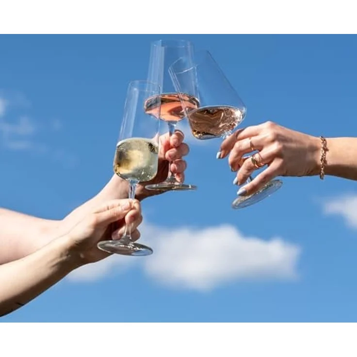 Schott Zwiesel MioVino Sektglas 260 ml 4er Set – Bild 4