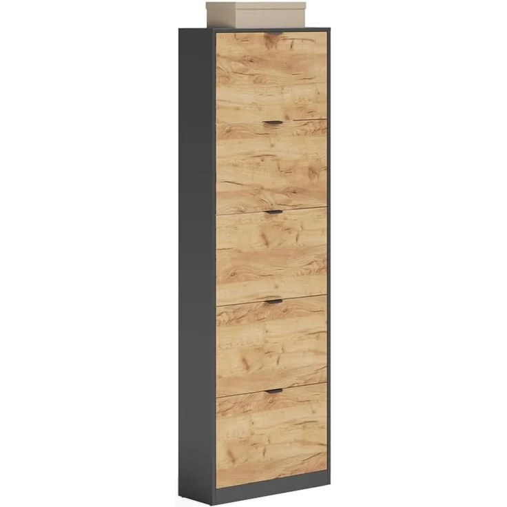 Schuhkipper Gizmo Goldkraft Eiche/Anthrazit 59 x 181.1 cm mit 5 Fächern Vicco – Bild 6