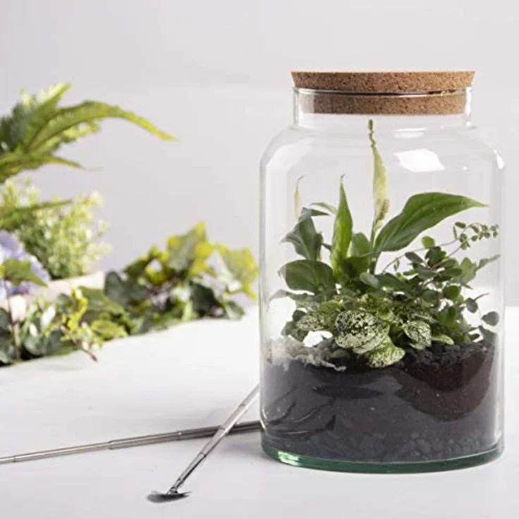 Halboffene 7L Terrarium Flasche aus recyceltem Glas mit Korkverschluss – Bild 5