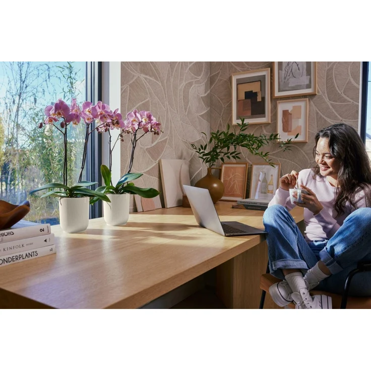 Elho Blumentopf Vibes Fold Orchidee Ø 13 x 15 cm weiß – Bild 2