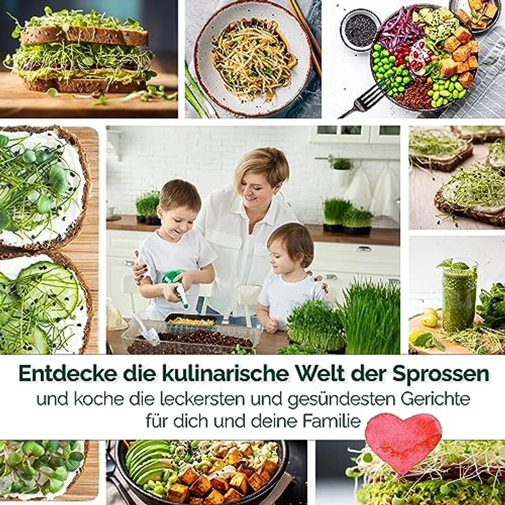 Sprossen Samen Microgreens Starter Set BIO - 14 Sorten BIO Sprossen zum selber züchten Microgreens Samen und Keimsprossen Keimsaat - Probierset für Sprossenglas & Kressesieb (inkl. Ebook) – Bild 5