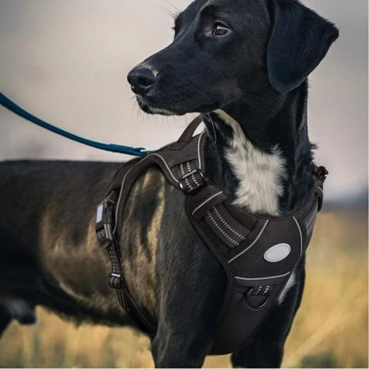 Blusmart Hunde-Geschirr Taktisches Hundegeschirr, Nylon, Verstellbares Hundegeschirr – Bild 3