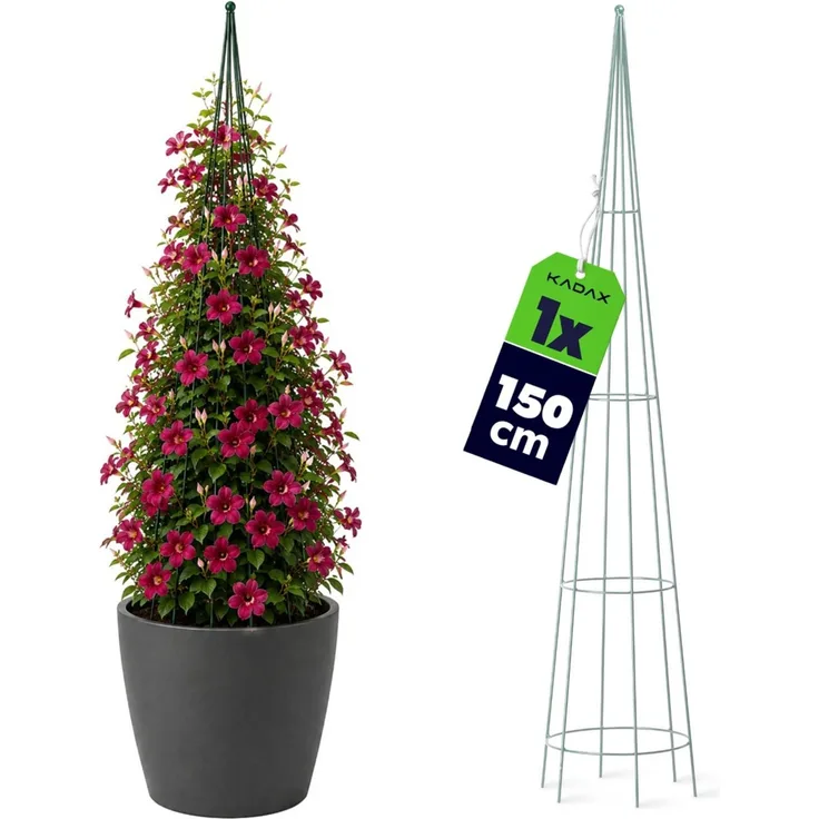 KADAX Gartenkegelstütze für Kletterpflanzen 150 cm