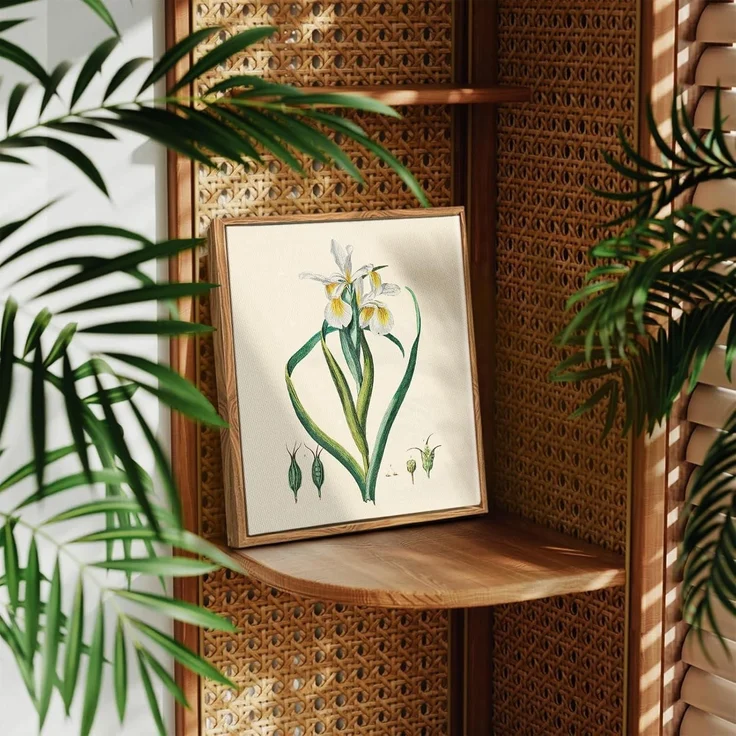 Vintage Botanische Leinwandbilder mit Holzrahmen 20x25 cm Wandbilder Wohnzimmer – Bild 2