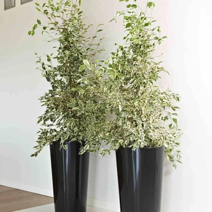 Pflanztopf TUIT anthrazit Ø 33 cm – Bild 3