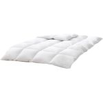 OBB Daunendecke Sensitiv Kassettendecke Ganzjahresdecke Größe 135x200 cm