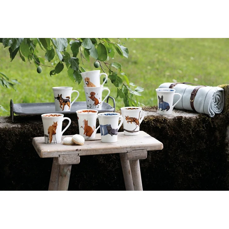 Hutschenreuther Becher My Mug Katze -Britisch Kurzhaar Becher mit H. 0,4l, Bone China, Tassen – Bild 2