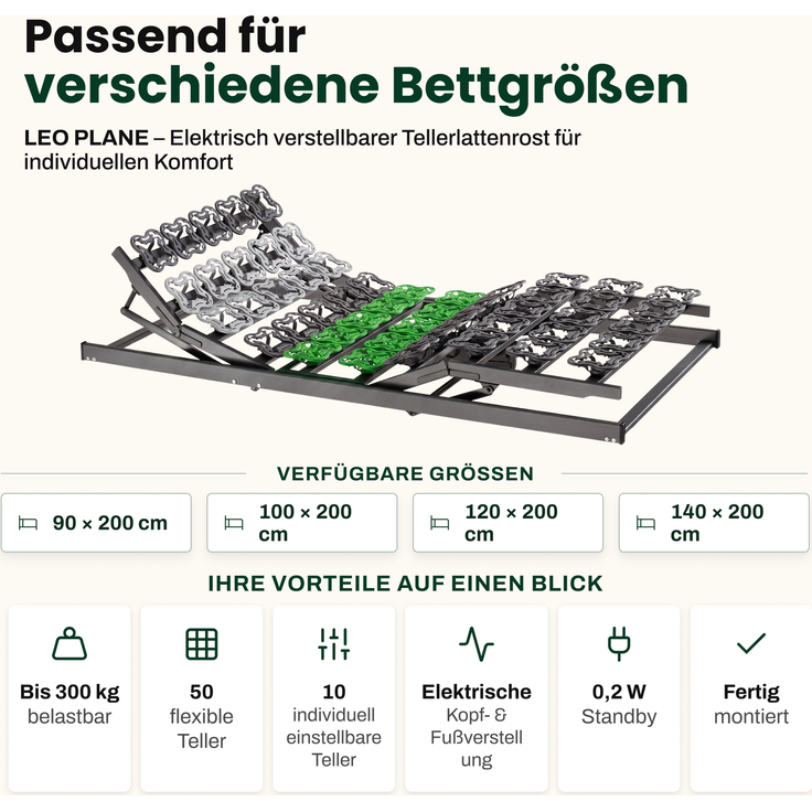 Graf Schlafsysteme LEO PLANE Elektrischer 5-Zonen Tellerlattenrost Tellerrahmen Lattenrost Montiert 100x200 cm – Bild 2