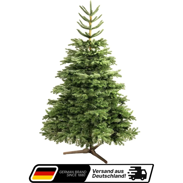Aurelia Home Künstlicher Weihnachtsbaum 200 cm – Nordmann-Optik mit PE-Wipfel, Holzständer und Tasche – Bild 1