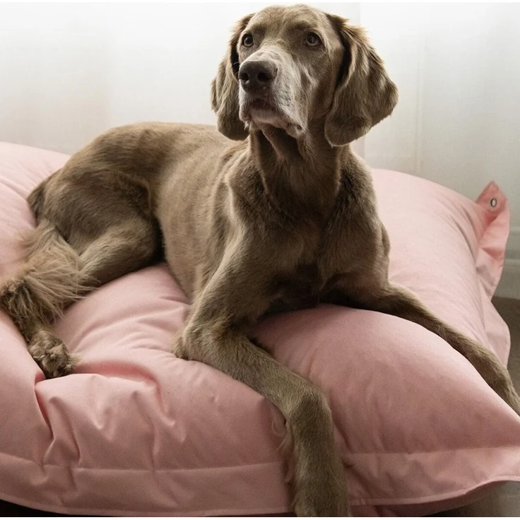 PAIKKA Lazy Bed pink, Maße: 100 x 70 cm – Bild 3