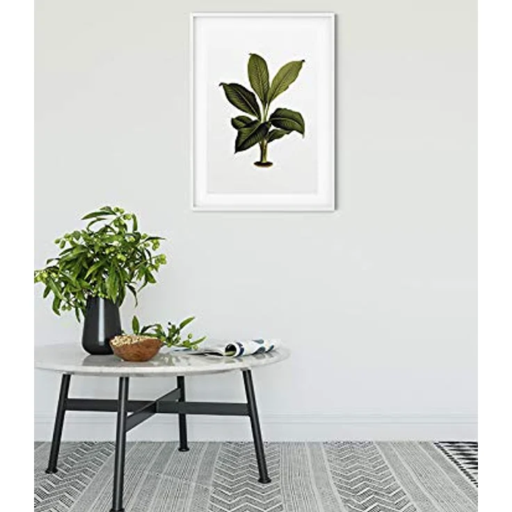 Komar Elastica Leaf, Wandbild aus Premium-Poster Fotopapier, 50 x 70 cm, fotorealistischer Kunstdruck ohne Rahmen, ideal für Wohnzimmer und Schlafzimmer, MADE IN GERMANY – Bild 2
