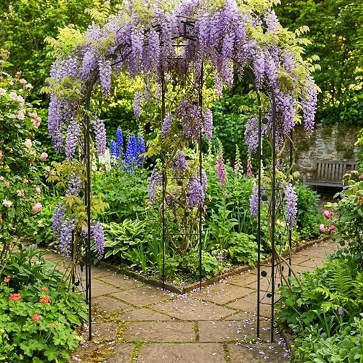 Rosenpavillon aus Metall 10052889 – Bild 5
