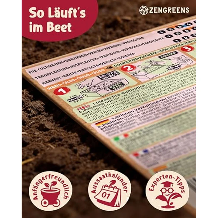 ZenGreens® - Bio Paprikasamen im 12er Set - 12 Paprika Samen für den einfachen Anbau im Garten, Balkon oder Hochbeet - Pflanzensamen - Saatgut – Bild 9