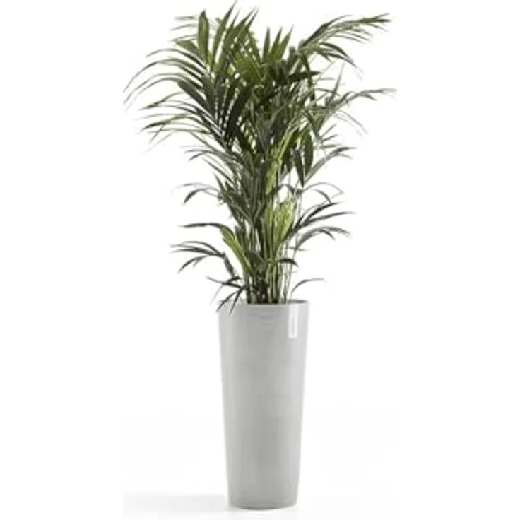 ECOPOTS Blumentopf AMSTERDAM HIGH White Grey, BxTxH: 41x41x76 cm – Bild 3