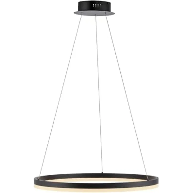 Paul Neuhaus 2382-13 TITUS Pendelleuchte 60 anthrazit