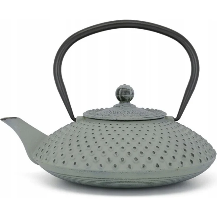 Bredemeijer Xilin 153090 Teekanne aus Gusseisen 1 25 l hellgrün
