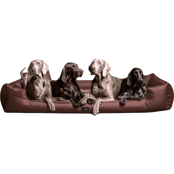 GOOFY Orthopädisches Hundebett - 01 Braun, 160x110cm