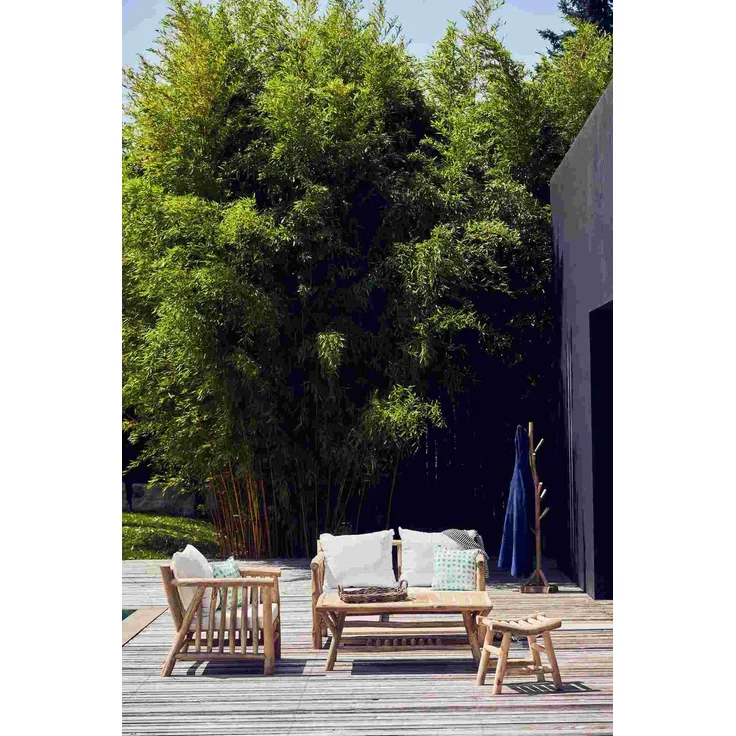 Gartensofa Fred 2-Sitzer Teakholz, massiv, gepolstert, natur, Outdoor, inkl. Kissen