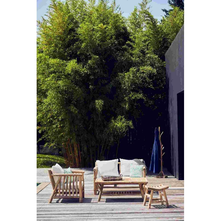 Gartensofa Fred 2-Sitzer Teakholz, massiv, gepolstert, natur, Outdoor, inkl. Kissen – Bild 1