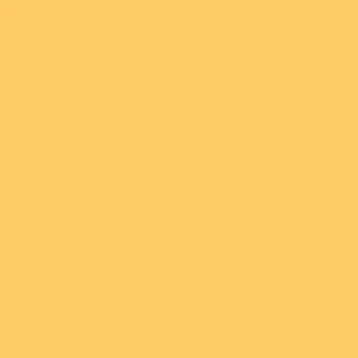 4er Set Tischsets Platzset Tischuntersetzer Platzdeckchen Tischdeko Tischmatte Essensunterlage Maße 30x45 cm, Farbe: hellorange - marigold – Bild 6