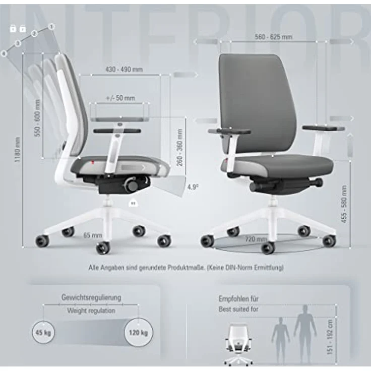 Interstuhl Joyce Interior Edition, ergonomischer Bürostuhl mit Synchromechanik, verstellbarer Rückenlehne und Lordose, Designer-Rollen, Grau | Hellgrau – Bild 3