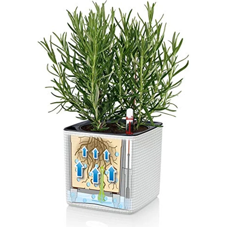 LECHUZA CUBE Color Green Wall Home Kit schiefergrau 13399 – Bild 6