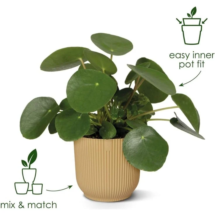 elho Vibes Fold Rund 14 Pflanzentopf - Blumentopf für Innen - 100% recyceltes Plastik - Ø 14.1 x H 12.9 cm - Lila/Zartes Lila – Bild 2