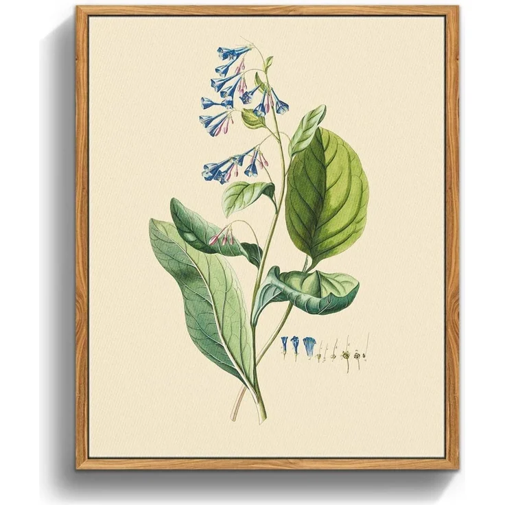 Vintage Botanische Leinwand Bilder mit Holzrahmen 20x25 cm Wohnzimmer Büro – Bild 1