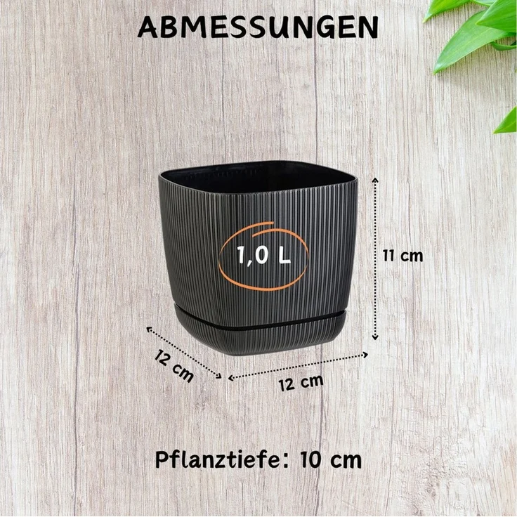 Engelland Blumentopf Pflanztopf mit Drainagesystem & Untersetzer (12x12 cm, 1 Liter, 1 St, robuster PP-Kunststoff), eckig, Rillenoptik, UV-resistent, direkte Bepflanzung – Bild 3