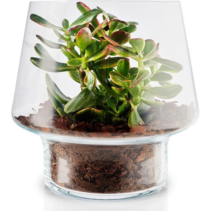 Eva Solo Sukkulenten-Glasvase, Blumenvase, Dekovase, Glas, Transparent, Ø 21 cm, 568188