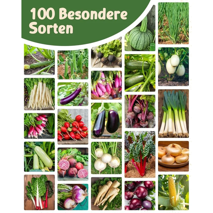 ZenGreens® - Bio Kräuter- & Gemüsesamen im 100er Set - 100 Kräuter- & Gemüse Samen für den einfachen Anbau im Garten, Balkon oder Hochbeet - Pflanzensamen - Saatgut – Bild 11