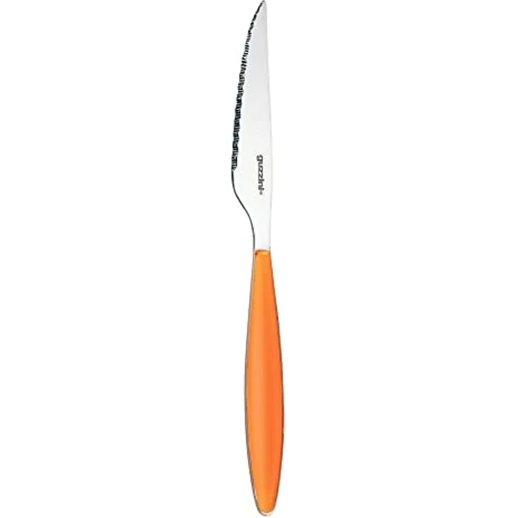 Fratelli Guzzini Feeling, steakmesser, ABS SAN Stainless steel AISI 420