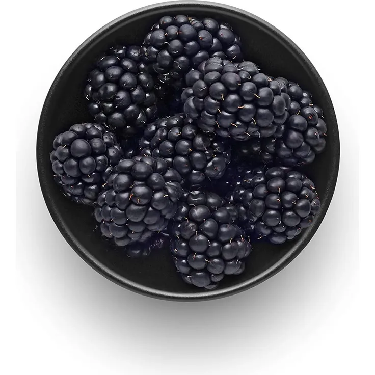 EvaSolo Nordic Kitchen Schale 10 cm schwarz