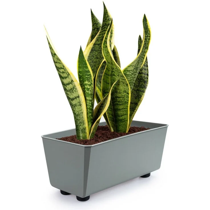 KONZEPT Blumenkasten Blumentöpfe mit Füßen, rechteckig – kleine Blumenkästen 4,2 L (1 St), 284 x 168 x 173 mm, ideal für Fensterbank & Zimmerpflanzen – Bild 5