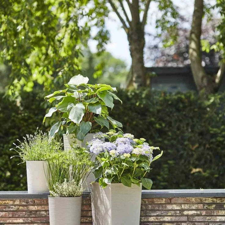 Pflanzgefäß LOCON GROOVE, creme Rillenoptik, Rillenoptik, Ø 25 x 25,5 cm Kunststoffgefäß mit Holzfaseranteil und Einsatz – Bild 4