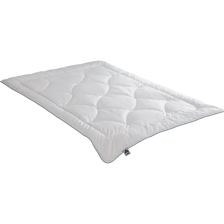 Badenia irisette Gerda Steppbett 135x200 Mono