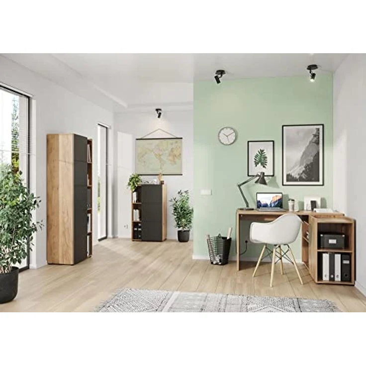 Germania Aktenschrank 1777-560 GW-Olvera, griffloses Design, in Navarra-Eiche-Nb./Graphit, 62 x 182 x 41 cm (BxHxT) – Bild 6