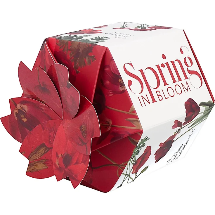 DUO Spring in bloom Becher 460 ml RED FLOWERS in dekorativer Box, New Bone China Porzellan – Bild 4