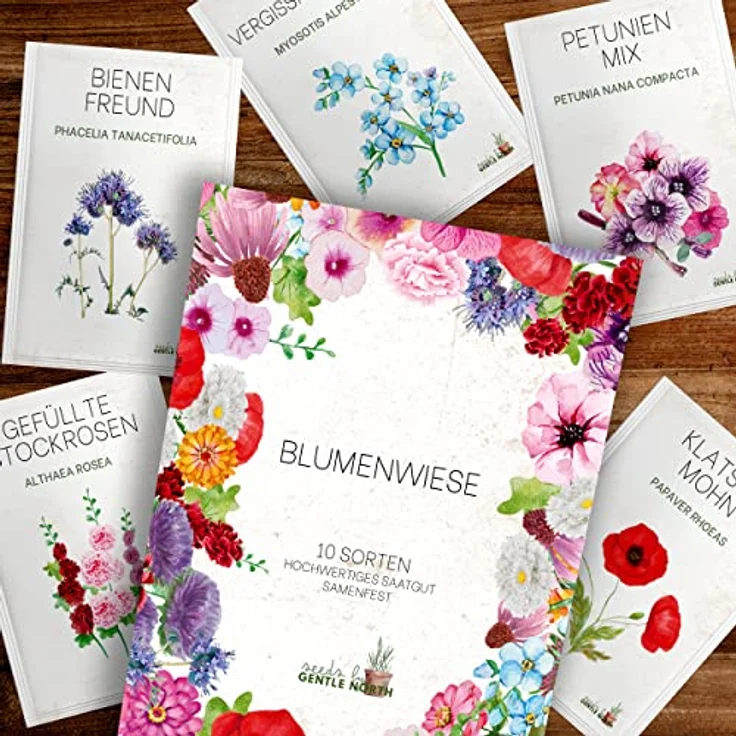 Blumen Samen Set - 10 bunte Blumensamen Sorten für den Garten oder Balkon, die Bienenweide und Wildblumenwiese - Blumenwiese Samen - bunte Wildblumensamen Mischung – Bild 8
