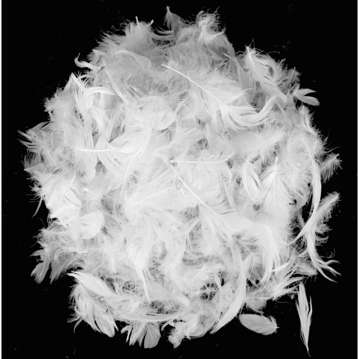 Arsvita Füllkissen Kissenfüllung mit Feder,Polyester Füllung 40 x 40 cm Federkissen – Bild 2