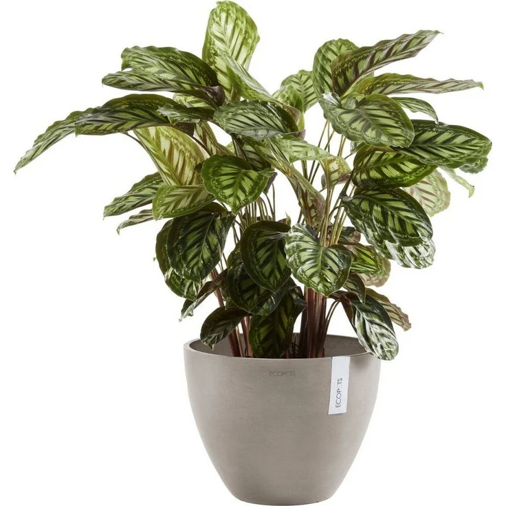 ECOPOTS Blumentopf ANTWERP Taupe, BxTxH: 40x40x30 cm – Bild 2