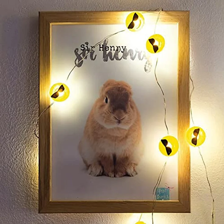 hellum LED Kupfer-Lichterkette, Cool-Emoji mit 2 cm Durchmesser, 10 warmweiße LEDs, 90 cm Lichtlänge, Kabel silber, Indoor, batteriebetrieben (2AA), 522952 – Bild 2