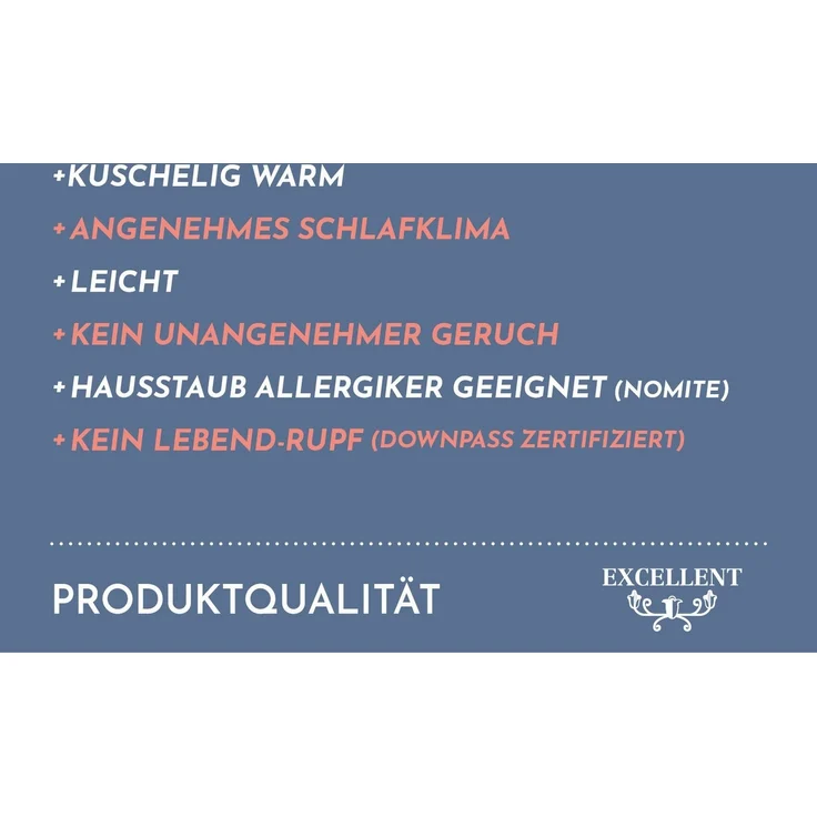 Excellent Daunenbettdecke Zürich, Bettdecken für Sommer und Winter, Decke, Füllung: 100% Daunen, Bezug: 100% Baumwolle, Bettdecke 135x200 cm, 155x220cm und weitere Größen, Made in Germany – Bild 3