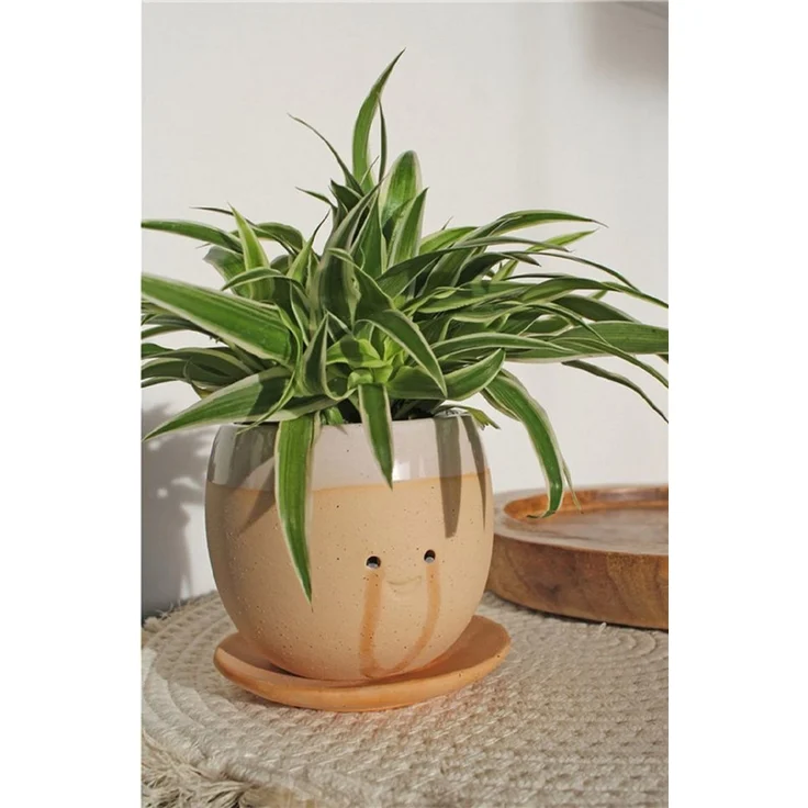 Winkee Blumentopf Weinender Pflanzentopf (mit Schale, 1 St, handgefertigt), ca. Ø 12 cm, 10 cm hoch – Bild 1