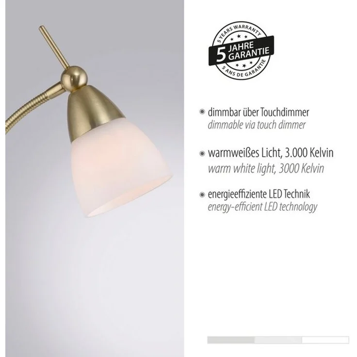 Paul Neuhaus Stehlampe PINO, LED wechselbar, Warmweiß – Bild 4