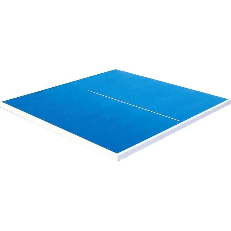 Sport-Thieme Tischtennis-Plattenhälfte für Profi-Tischtennisplatte, wetterbeständig, 30 mm stark aus Polymerbeton, 137 x 152,5 cm