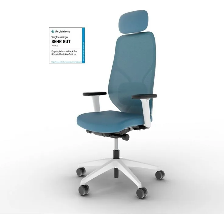 Ergotopia Bürostuhl MasterBack ergonomischer Schreibtischstuhl mit Kopfstütze (bereits montiert)