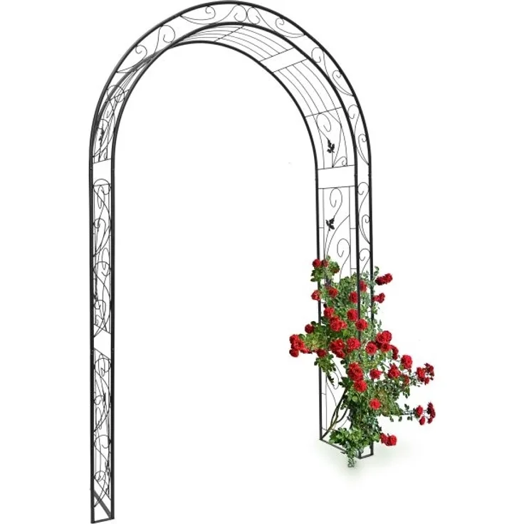 Rosenbogen Blatt